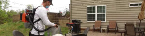mosquito-proof your backyard