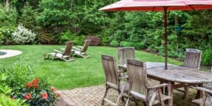 mosquito-free backyard