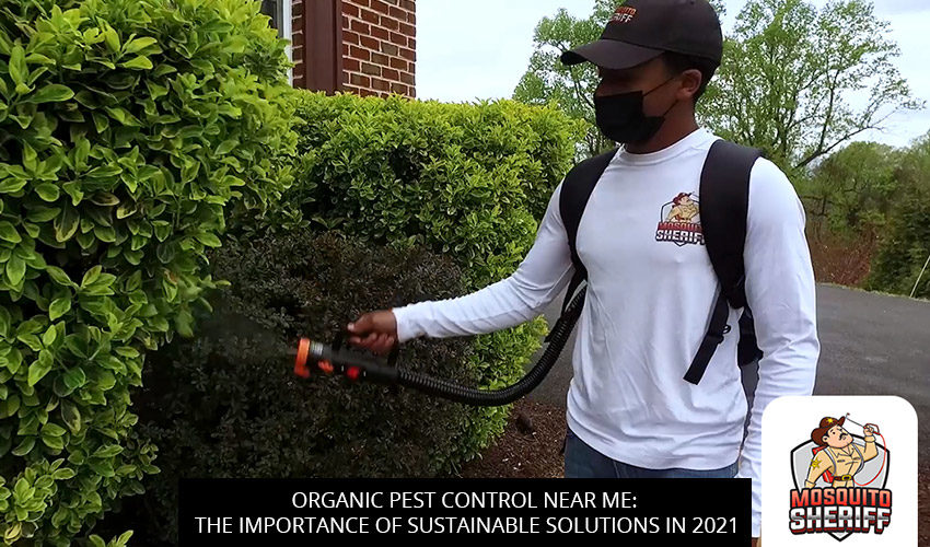 Organic Pest Control Near Me