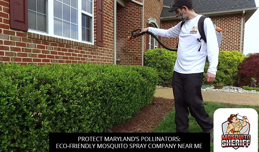Protect Maryland’s Pollinators