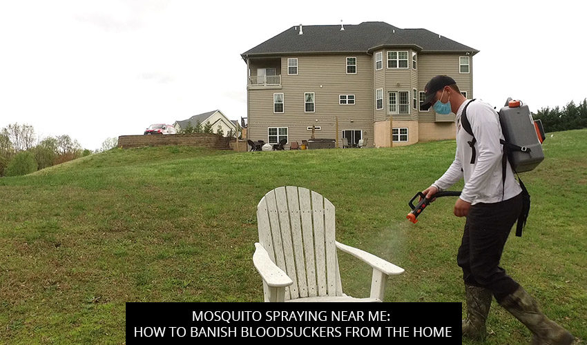 Mosquito Spraying Near Me