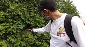 Mosquito Sheriff Spraying for mosquitos