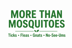mosquito sheriff franchise