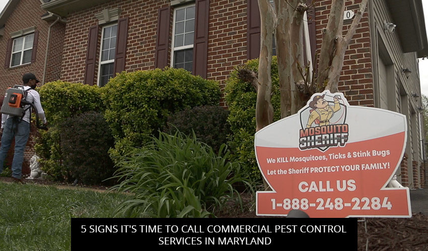 5 Signs It's Time to Call Commercial Pest Control Services in Maryland