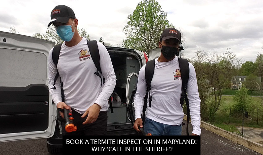 Book A Termite Inspection In Maryland: Why 'Call In The Sheriff'?