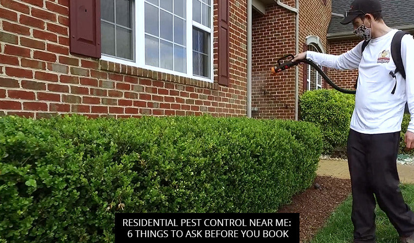 Residential Pest Control Near Me: 6 Things To Ask