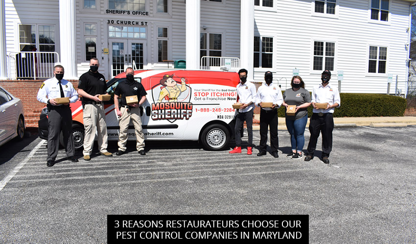 3 Reasons Restaurateurs Choose Our Pest Control Companies in Maryland