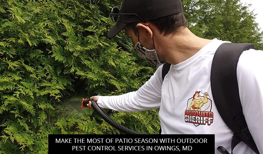 Make the Most of Patio Season with Outdoor Pest Control Services