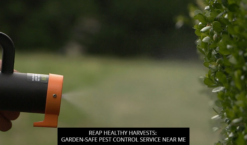 Reap Healthy Harvests