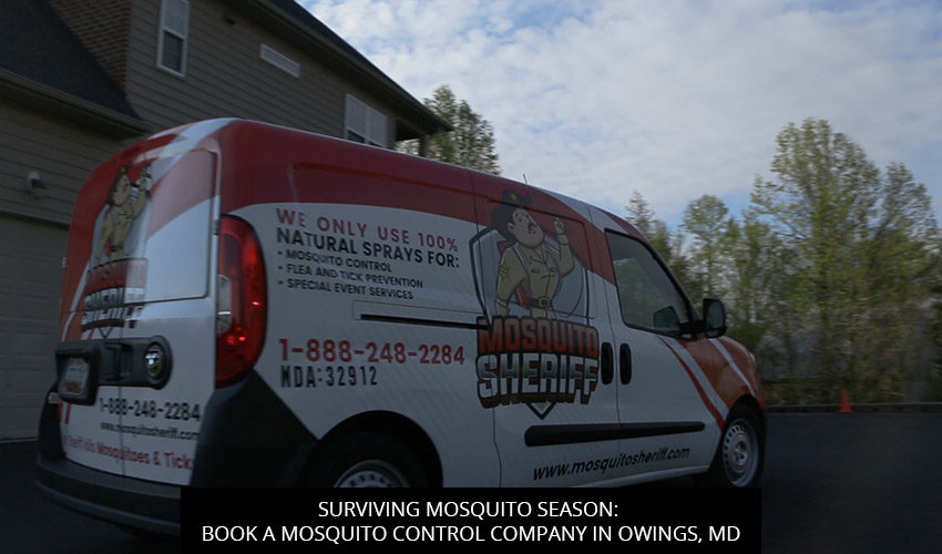 Surviving Mosquito Season: Book a Mosquito Control Company