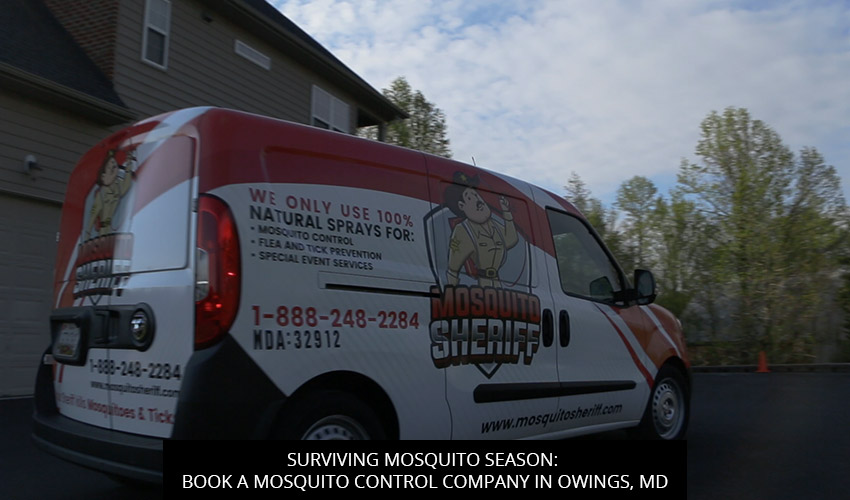 Surviving Mosquito Season: Book a Mosquito Control Company in Owings, MD