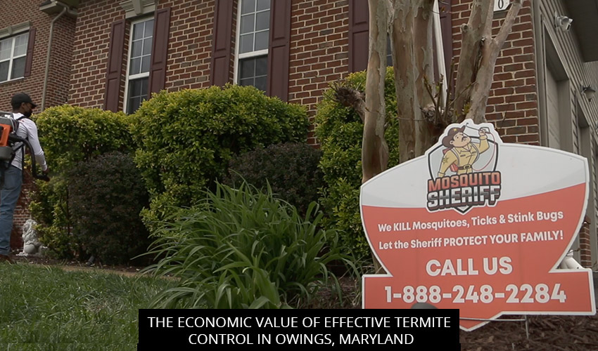 The Economic Value of Effective Termite Control in Owings, Maryland