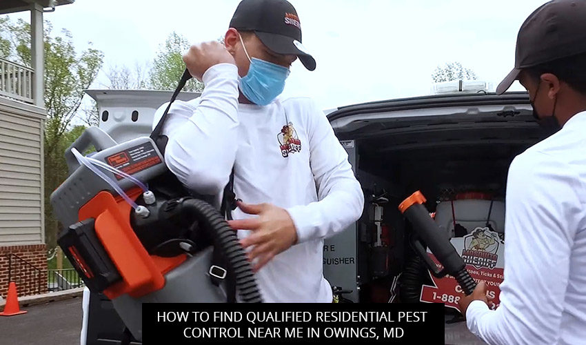 How to Find Qualified Residential Pest