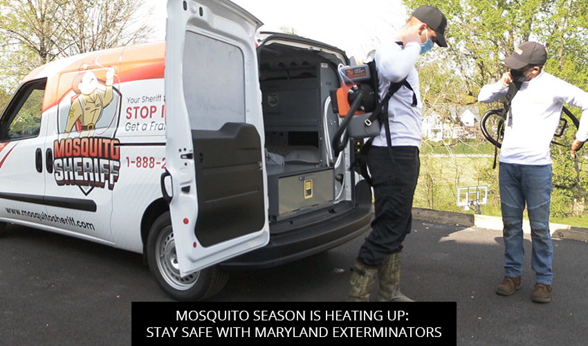 Mosquito Season Is Heating Up