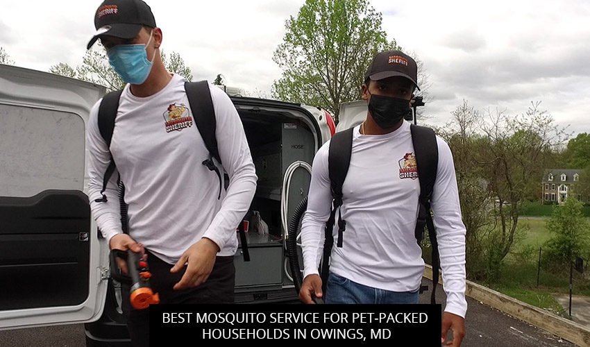 Best Mosquito Service for Pet-Packed
