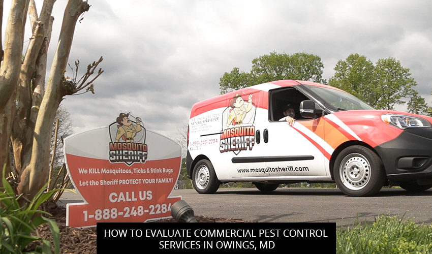 How to Evaluate Commercial Pest Control Services