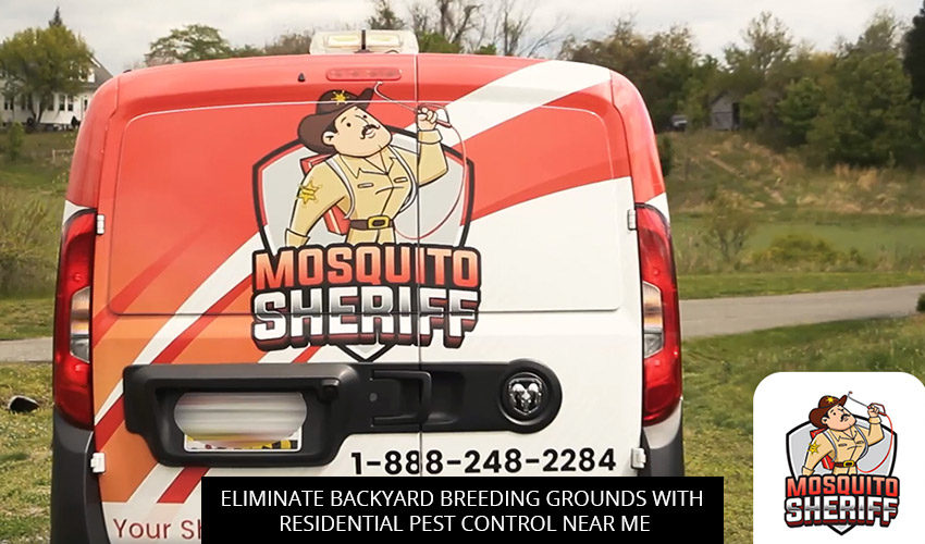 Eliminate Backyard Breeding Grounds with Residential Pest Control Near Me