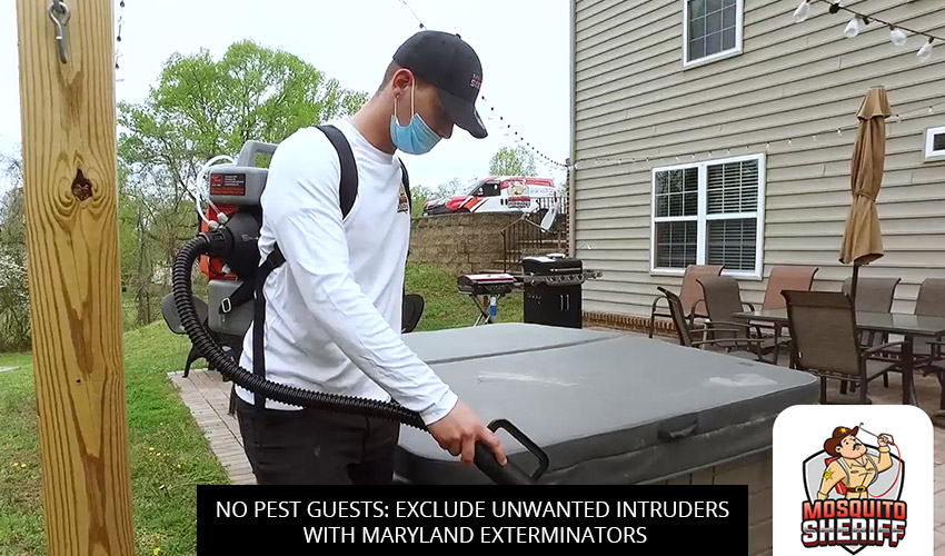 No Pest Guests: Exclude Unwanted Intruders with Maryland Exterminators