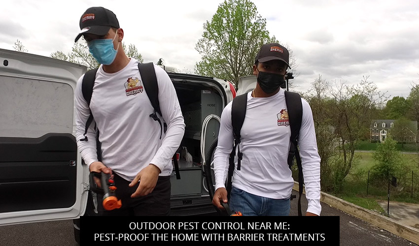 Outdoor Pest Control Near Me: Pest-Proof the Home with Barrier Treatments