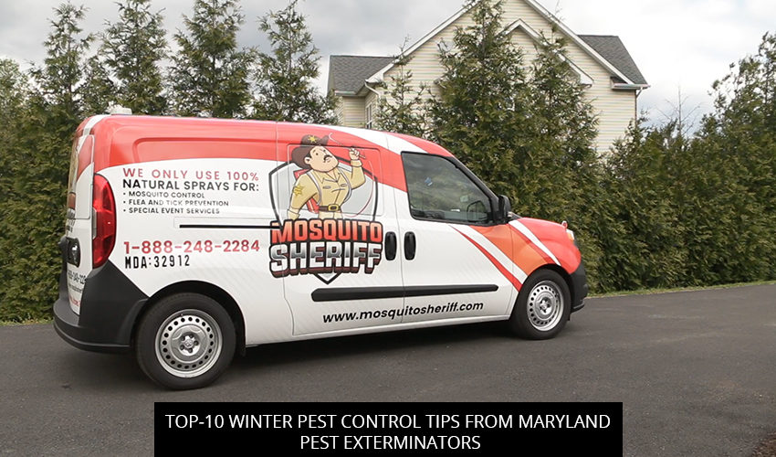 Top-10 Winter Pest Control Tips from Maryland Pest Exterminators