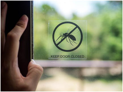 No Pest Guests: Exclude Unwanted Intruders with Maryland Exterminators