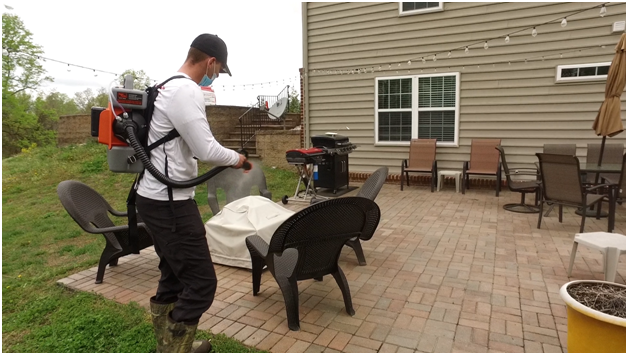 Outdoor Pest Control Near Me: Prevent Fire Pit Infestations in Owings, MD