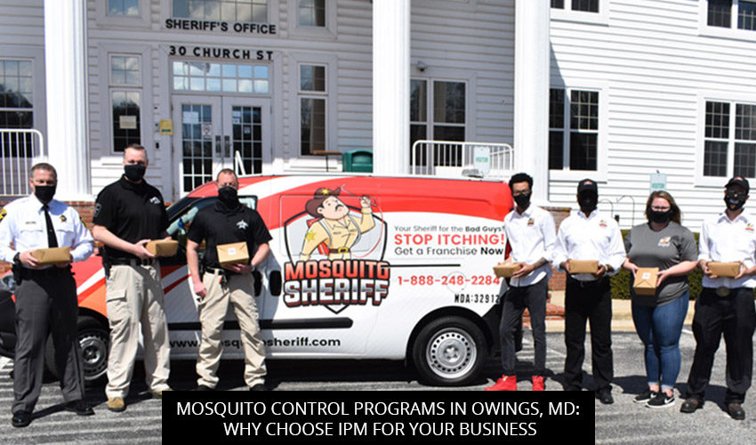 Mosquito Control Programs in Owings, MD