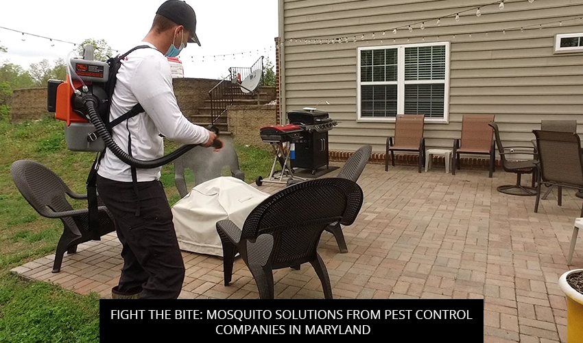 Mosquito Solutions From Pest Control Companies In Maryland Fight The Bite