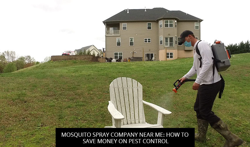 Mosquito Spray Company Near Me: How To Save Money On Pest Control