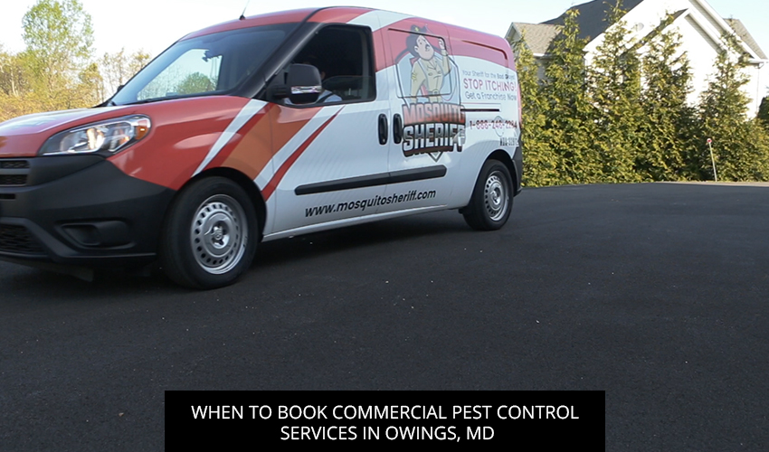 When to Book Commercial Pest Control Services in Owings, MD
