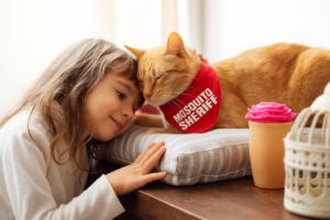 eco-friendly mosquito control in Kingstown MD for families and pets