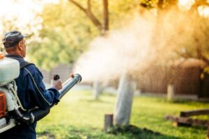 Mid-Summer Mosquito Control